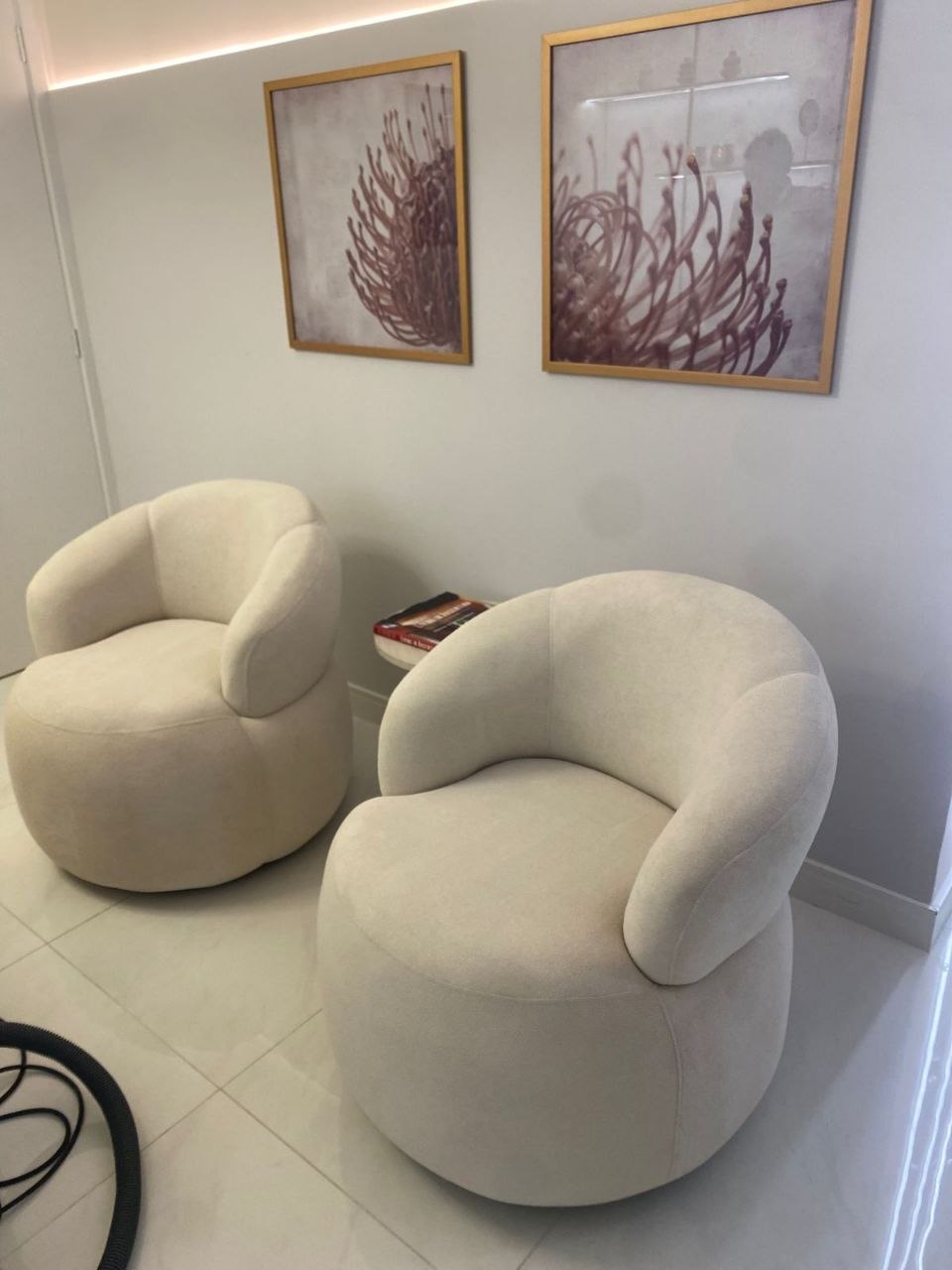 Trabalho Steiner 3